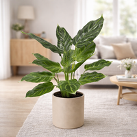 Arbre bonsaï artificiel au toucher réaliste, arbre décoratif, plantes artificielles, plantes d'intérieur pour la décoration de la maison, décoration de plantes artificielles