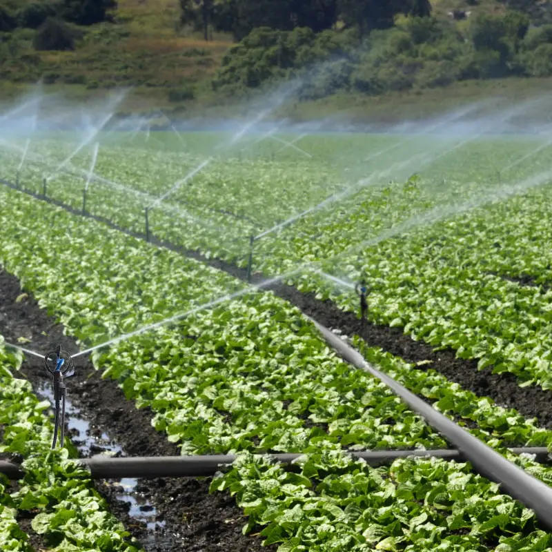 Aspersor estufa irrigação sistema agrícola com boom