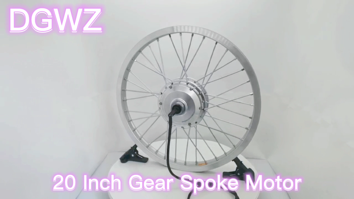 20 Inch Brushless Geared Hub Motor for Electric Bicycle, 36V/48V