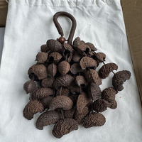 Moonin Seed Shell Shaker 50 pièces, sonnettes en coquille de noix foncée naturelle, faites à la main pour la thérapie sonore et des effets sonores relaxants