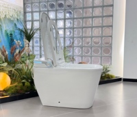 Toilette intelligente haut de gamme à poser au sol, style américain, certifiée ADA, pour une économie d'eau, idéale pour la maison