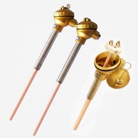 High Temperature 1600C Ceramic Probe Thermocouple Type S B R Type Platinum Rhodium Thermocouple for Furnace Use