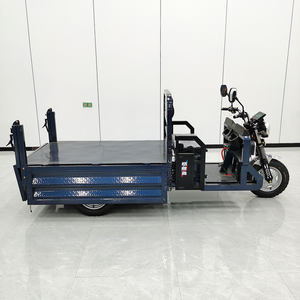 Conception personnalisée Tricycle électrique à 3 roues et vélo solaire pour le commerce avec camion de marchandises - Product Image 3