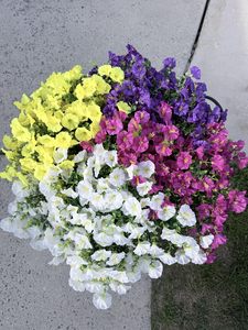 Petunia Artificial para Exteriores Resistente a Bajas Temperaturas, No se Desvanece ni se Congela - Product Image 1