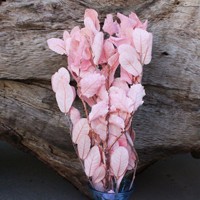 PPL10 pabrik daun kastanye grosir langsung tanaman yang diawetkan bahan daun buatan tangan bunga kering untuk dekorasi pernikahan