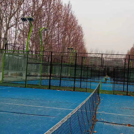 Pickle Ball Net with Exclusive Ball
