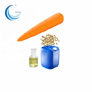 Organic Carrot Seed Oil High Quality Carrot Seed Essential Oil