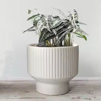 Pot de fleur en céramique de Style nordique haut de gamme taille horticole spéciale orchidée papillon succulente Design moderne en gros disponible