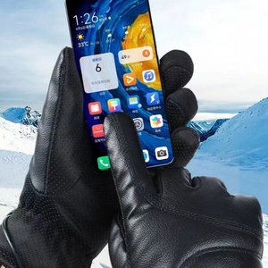 Velvet Thickening Winter Custom Heated Ski Gloves Anti-slip and Wear-resistant Usb Heated Mitten for Office Outdoor - Product Image 2