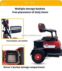 Triciclo Elettrico Stuary 600W con Motore Posteriore da 48V e Batteria al Piombo-Acido per Uso Esterno a Lungo Termine - Product Image 6