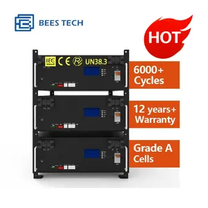 600ah 30kw 40kwh ev lityum pil paketi 600ah 51.2V güneş sistemi 48V lifepo4 lityum iyon batarya için GÜNEŞ PANELI 51.2V