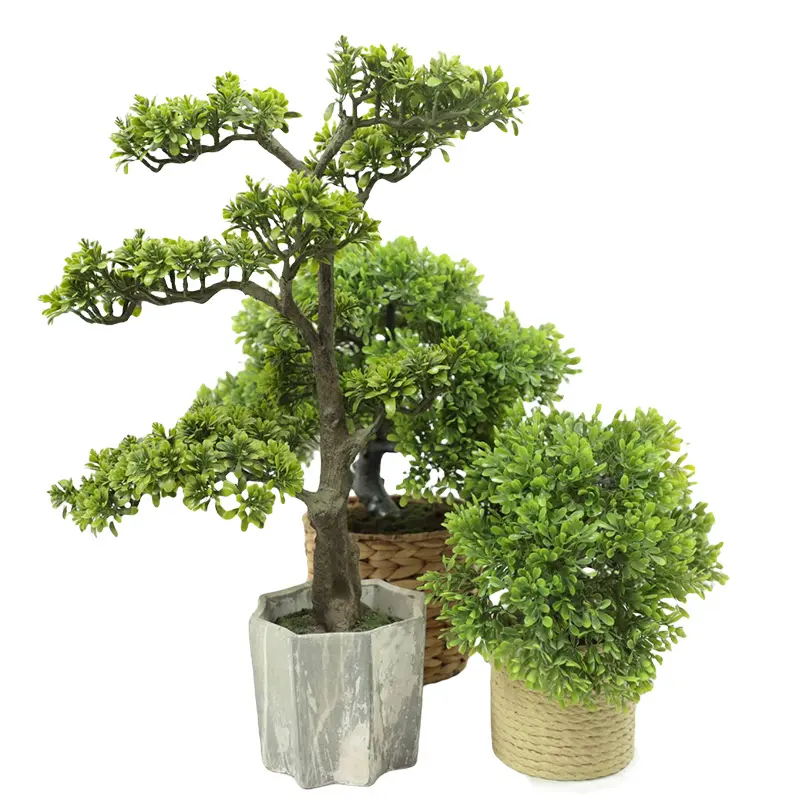 60cm yükseklik yapay Bonsai çam ağacı bitki kapalı Mini yeşil ağacı satılık