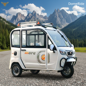Petit tricycle électrique à batterie GB pour femmes âgées, homologué, entièrement fermé, pour le transport d'enfants, 60V 90km - Product Image 1