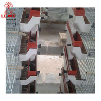 Nouveau Modèle Cage à Cailles Type H de Haute Qualité en Vente
