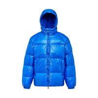 Veste matelassée unisexe à capuche pour homme, 80 % duvet de canard, brillante, respirante, manteau d'hiver décontracté, puissance de remplissage 600, fermeture éclair personnalisée OEM ODM