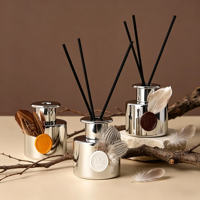 Diffuseur de parfum sans flamme en verre avec plume argentée, sans alcool, 120 ml, parfum longue durée, rafraîchisseur d'air pour la maison