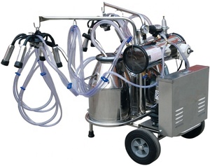 Machine à traire sous vide la plus durable, entièrement automatique, pour grandes exploitations laitières, équipement de collecte du lait - Product Image 1