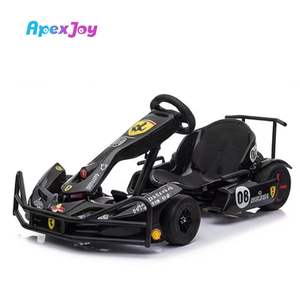 Kart électrique pour jeunes PULSE Lite-700W, niveau d'entrée, kart de course économique, vitesse maximale de 40 km/h, capacité de charge de 150 kg, batterie - Product Image 4