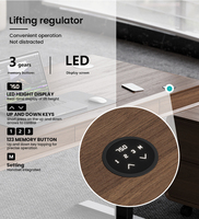 Escritorio Eléctrico de Altura Ajustable con Superficie de Madera de Nogal, Mesa Ejecutiva para Oficina con Carga Inalámbrica, Fabricante OEM