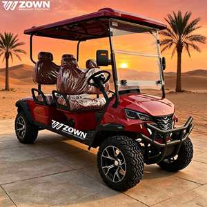 Carrito de Golf Eléctrico Homologado para Calle, con Capacidad para 4 Pasajeros, Batería de Litio, para Transporte Diario en Parques Residenciales en EE. UU. - Product Image 1