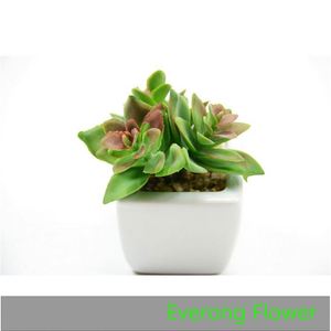 Everong mini cactus artificiel plante succulente en <span class=keywords><strong>pot</strong></span> pour la décoration de la maison hôtel - Product Image 4