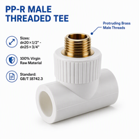 Raccords en laiton filetés PPR mâle-femelle en T pour plomberie, OEM ODM, raccords de tuyauterie d'eau PPR