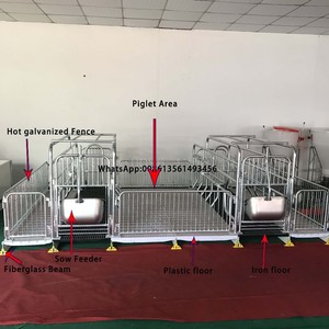 Sıcak satış domuz Farrowing sandık kalem domuz çiftliği ekipmanları - Product Image 3