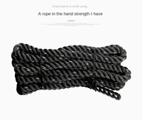 Corde de combat noire 15m pour système de poulie, accessoires de machine de musculation, fonction antidérapante, matériau polyester, portable et écologique