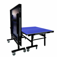 Prix de vente en gros Double Cloud certification ITTF table de ping-pong pliable intérieure ITTF pour l'entraînement