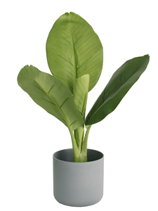 52cm moderne Design oriental artificiel grand <span class=keywords><strong>bananier</strong></span> en fibre de verre palmier intérieur/extérieur pour la décoration de fête de mariage de bureau - Product Image 2