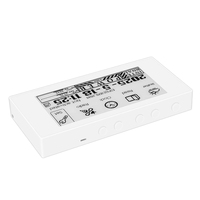 GGDX HAMGEEK RW01 Mini E-Ink Reader E-Book (Panel Putih) untuk Melihat Jam Cuaca, Alarm, File TXT EPUB