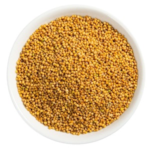 Yunnan semi di senape essiccati e secchi semi di senape piccanti bianchi all'ingrosso tipo di lavorazione cruda - Product Image 5