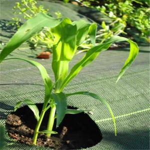 <span class=keywords><strong>Film</strong></span> de paillage PP non tissé, tissu anti-mauvaises herbes, couverture de sol agricole, <span class=keywords><strong>film</strong></span> de paillage pour serre et <span class=keywords><strong>jardin</strong></span> - Product Image 6