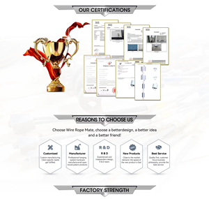 Kit de <span class=keywords><strong>suspension</strong></span> de câble de <span class=keywords><strong>suspension</strong></span> de plafond de câble en fil d'acier avec <span class=keywords><strong>crochet</strong></span>, pince verrouillée par fil, sortie latérale articulée - Product Image 4