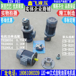 Ensemble pompe à huile à engrenages verticale LBZ-16 LBZ-20 LBZ-25 LBZ-32 1,5KW YE290L4 Catégorie de produit Pompes à huile - Product Image 3