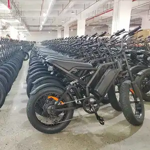 Promotie Dddp Deur Tot Deur Snelle Levering Usa Eu Au Magazijn Volwassen Bergstad Weg Hydraulische Schijfrem Dikke Band Ebike