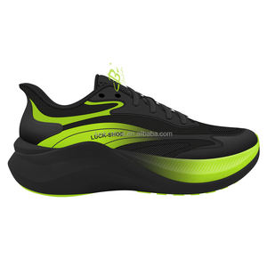 Wholesale Factory <strong>Cheap</strong> Price High Quality Men's Footwear Fashion Carbon Plate Running Shoes Outdoor Athletics Training <strong>Trainers</strong> - Product Image 1