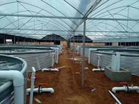 Réservoir de pisciculture de bâche en PVC pliable réservoir de pisciculture économique