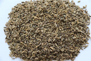 Petites moucherons 100% naturels séchés au soleil, écologiques, riches en protéines, nourriture pour poissons et reptiles, améliore la santé du pelage, longue durée de conservation - Product Image 5