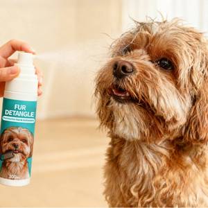 Muestra Gratuita de Espray Nutritivo para el Pelo de Mascotas en Caja Ecológica, Suavizante y Antiestático, Desenredante para Perros, para el Baño y el Aseo - Product Image 2