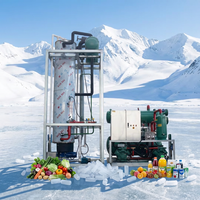Machine à glace en tubes industrielle Haiyue de Chine, de 500 kg à 20 tonnes, machine à glace en tubes commerciale