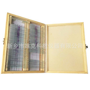Bovine cervical ligament section, connective tissue, animal and plant specimen sections, <b>microscope</b> slides, higher education - Product Image 4