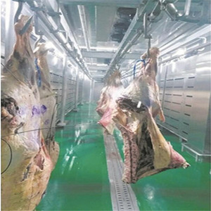 Equipos de Acero Inoxidalbe Para Matadero Vacuno Por Óptimo <span class=keywords><strong>Precio</strong></span> - Product Image 6