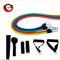 Ensemble de bandes de résistance progressives 150lb 200lbs 250lbs Bandes de résistance pour exercices avec poignées 5 ensembles Bandes de fitness tubulaires