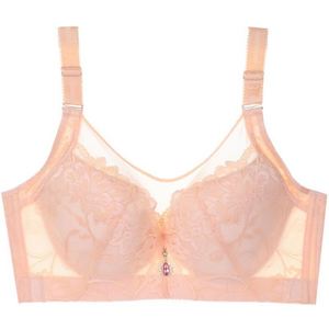 Lingerie Vrouwelijke Grote Borsten Tonen Kleine Kanten Beha Om Borsten Underware Te Verzamelen - Product Image 3