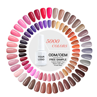 Fournitures pour ongles Kaga échantillon gratuit ensemble de vernis gel de base longue durée Uv Gel Soak Off 15ml60 pcs kit de vernis à ongles en gel de couleur