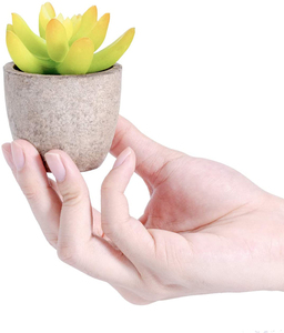 Plantas Suculentas Artificiales Decorativas en Maceta, Cactus Falso, Aloe en Macetas de Pulpa de Papel, Planta Artificial de Plástico Reciclable - Product Image 2