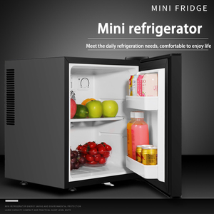 Frigorifero Monoporta a Risparmio Energetico con Sensore di Sbrinamento, Mini Frigo da Cucina da 30 Litri, Frigorifero Termoelettrico, Minibar - Product Image 3