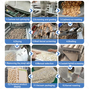 Chaîne complète de traitement du noix de cajou HNOC Vietnam : Machine à décortiquer et peler les noix de cajou - Prix compétitif - Product Image 2
