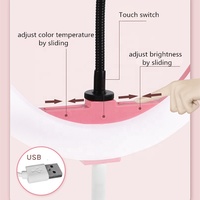 Fabrication professionnelle OEM/ODM 10W pliable maquillage Ringlight 10 pouces photographie lumières Selfie anneau lumière LED
